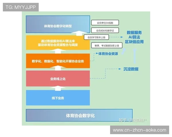 数字体育生态完善推荐算法引擎